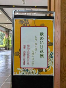 秋のいけばな展